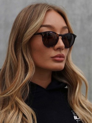 Blakely 22.1 Sunglasses Havana Tortoiseshell | 8249360-JC