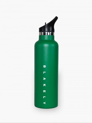 Blakely Blakely Water Bottle Gröna | 9632578-GM