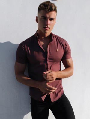 Blakely Brisbane Short Sleeve Shirt Vinröda | 6198745-AL