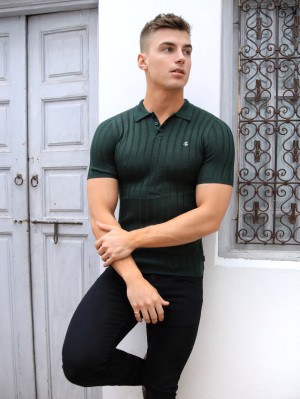 Blakely Sidi Textured Stripe Polo Gröna | 8659412-EW